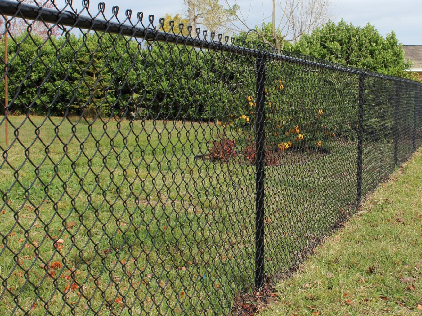 Blountstown Florida Fence Project Photo