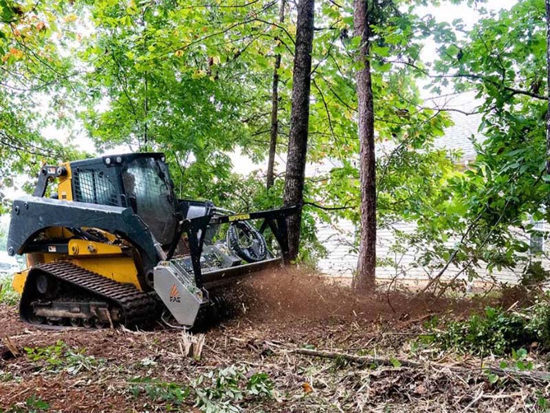 Beautiful example of mulching services in Panama City, Florida